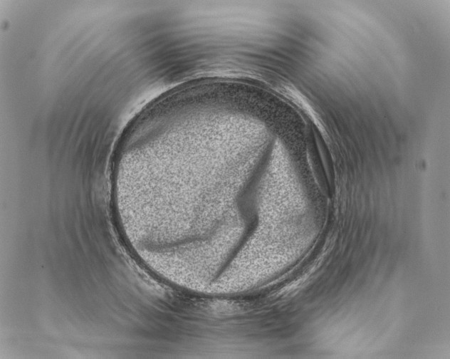 X0000088890787200706291438