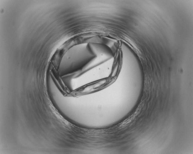 X0000088890788200706291438