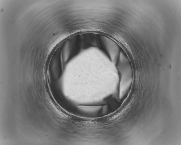 X0000088890789200706291438