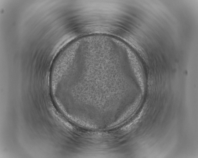 X0000088890790200706291438