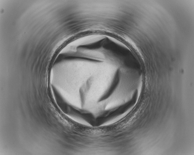 X0000088890791200706291438