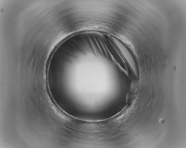 X0000088890792200706291438