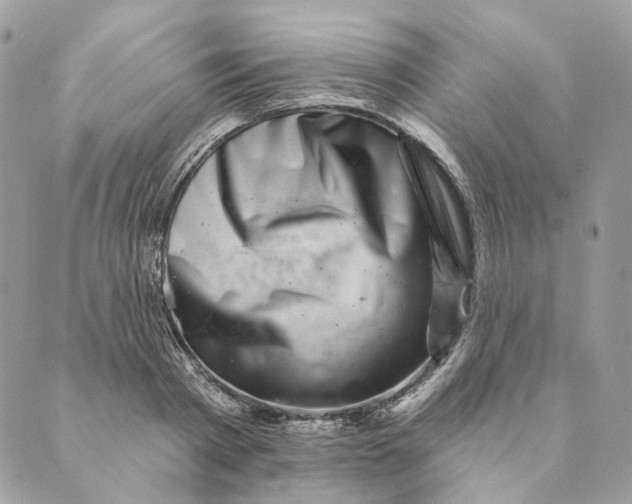 X0000088890793200706291438