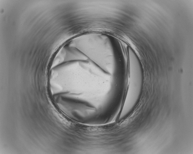 X0000088890795200706291438