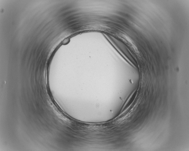 X0000088890796200706291438