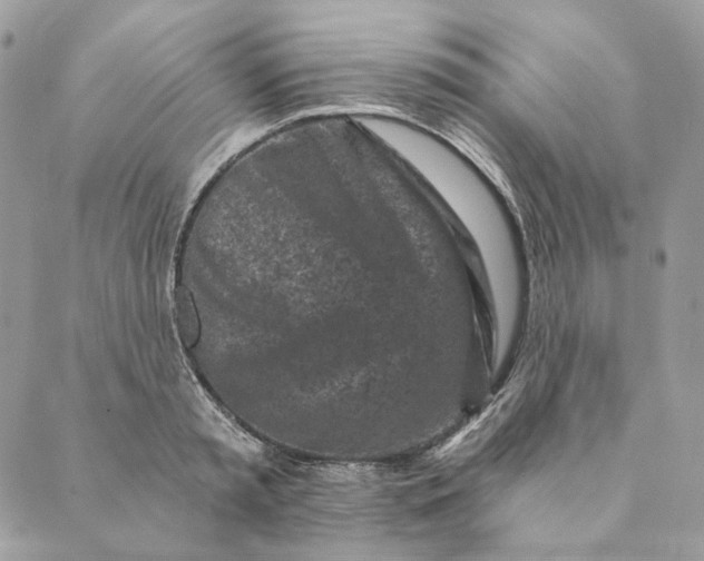 X0000088890797200706291438