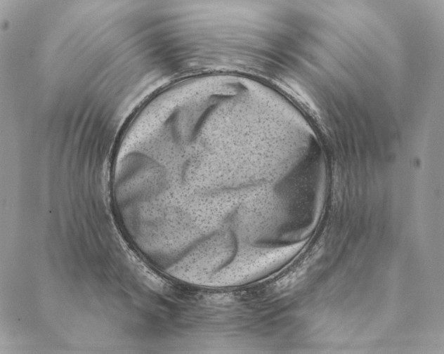 X0000088890798200706291438