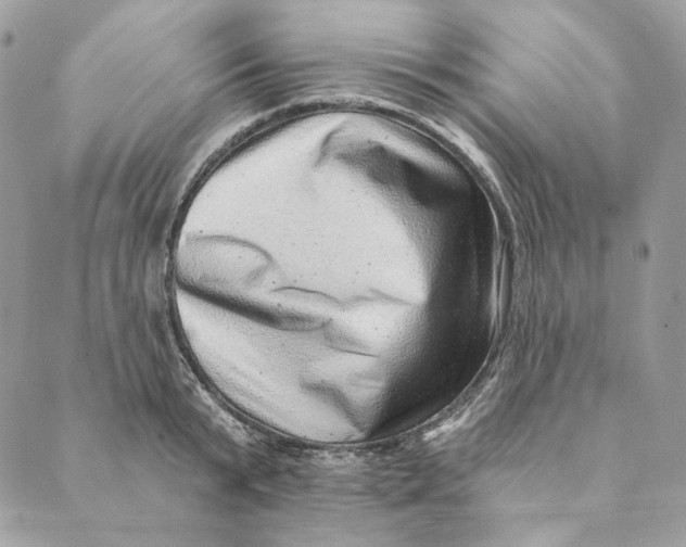 X0000088890799200706291438