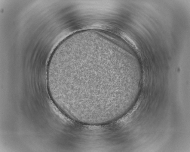 X0000088890800200706291438