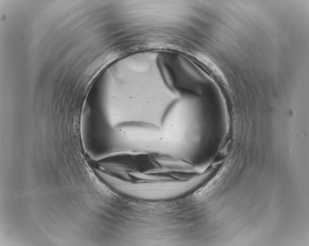 X0000088890801200706291438