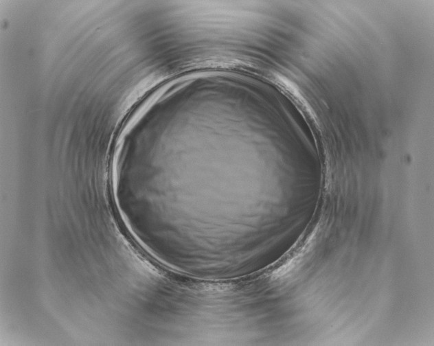 X0000088890802200706291438