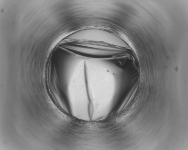 X0000088890803200706291438