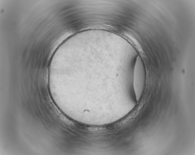 X0000088890804200706291438