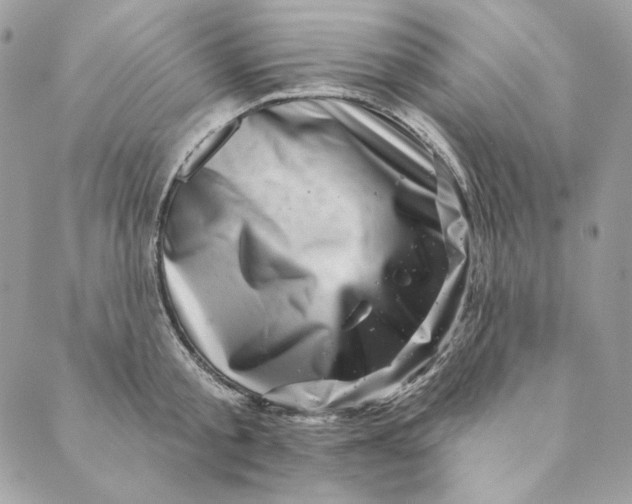 X0000088890805200706291438