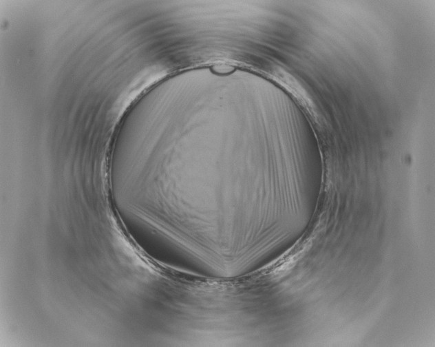 X0000088890806200706291438