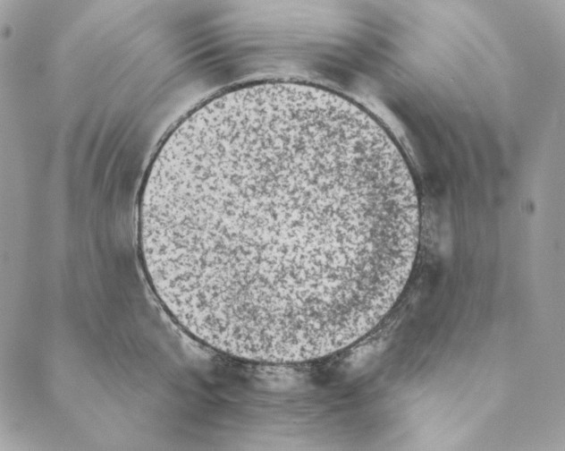 X0000088890807200706291438