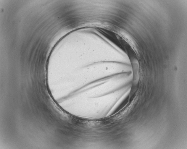 X0000088890808200706291438