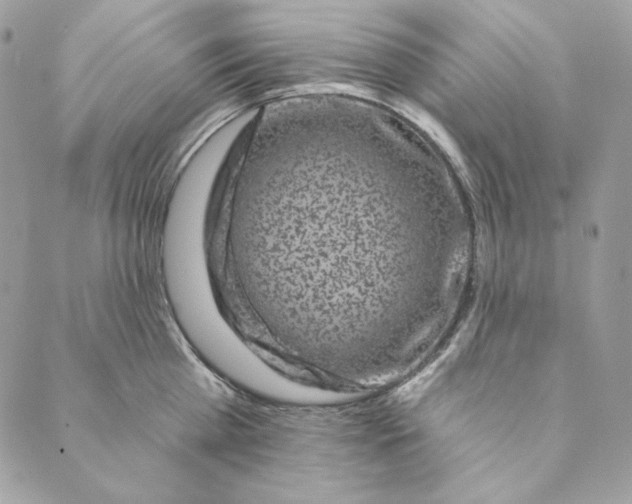 X0000088890809200706291438