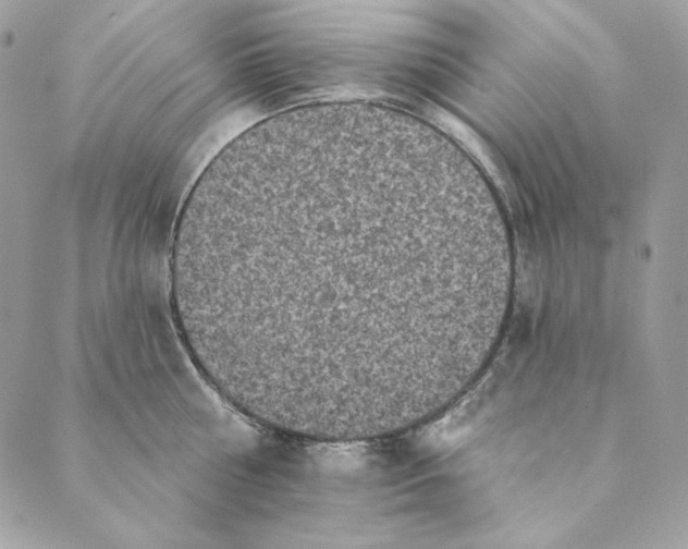 X0000088890810200706291438