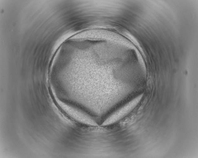 X0000088890811200706291438