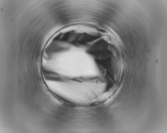 X0000088890812200706291438