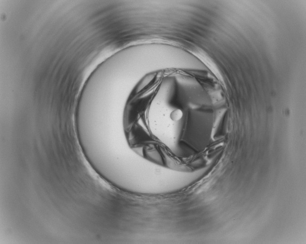 X0000088890813200706291438