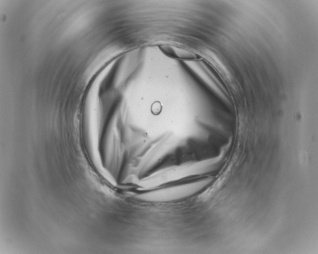 X0000088890814200706291438