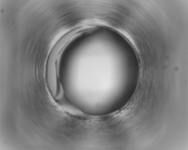 X0000088890815200706291438