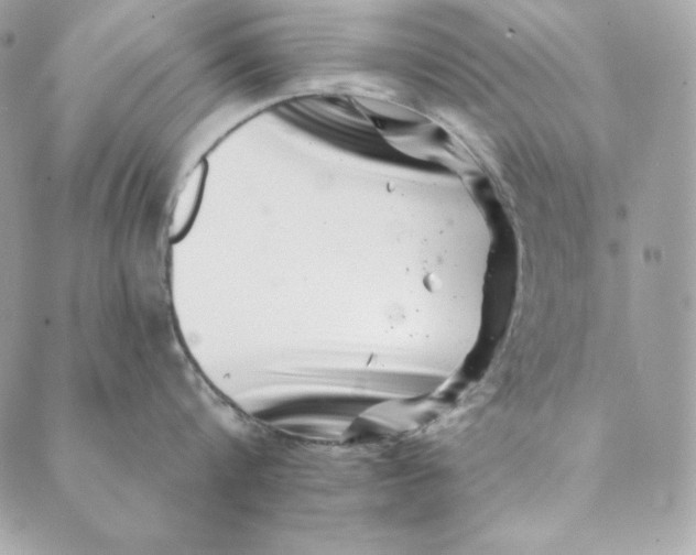 X0000088890816200706291438