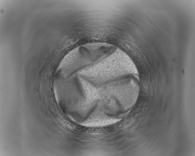 X0000088890817200706291437