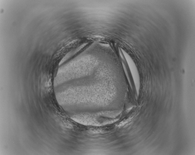 X0000088890818200706291437