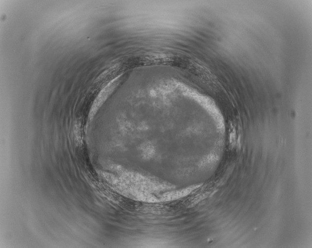 X0000088890819200706291437