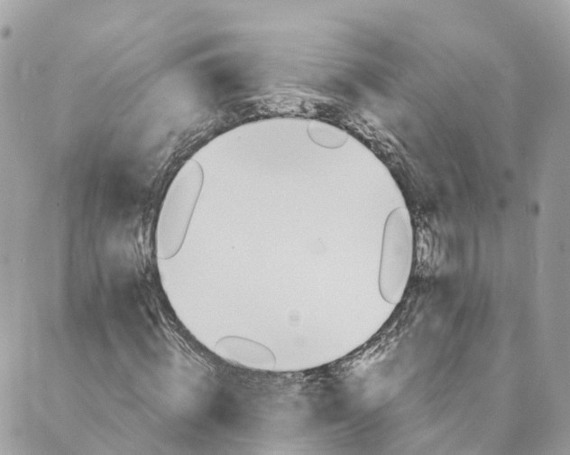 X0000088890820200706291437