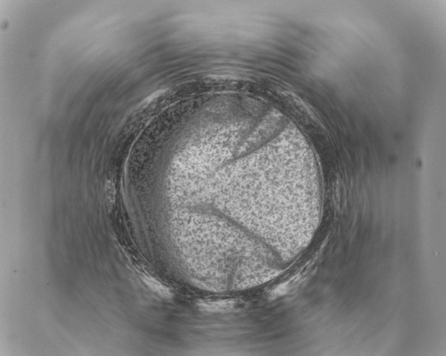 X0000088890821200706291437