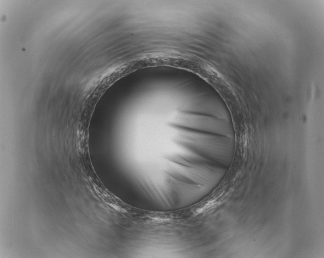 X0000088890822200706291437