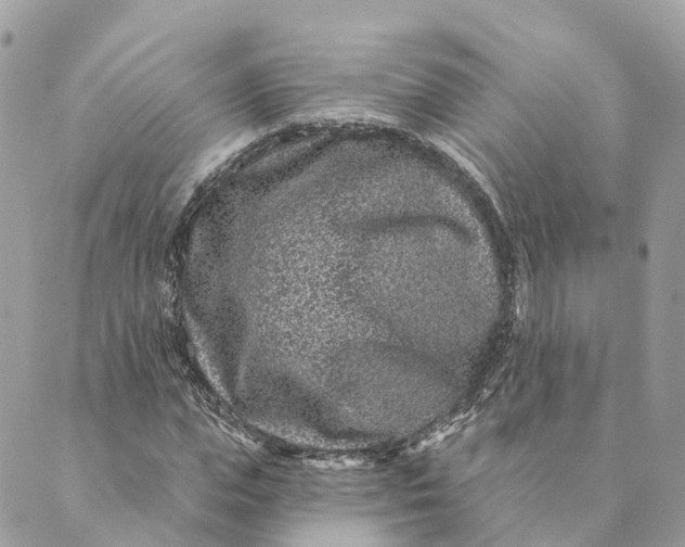 X0000088890823200706291437