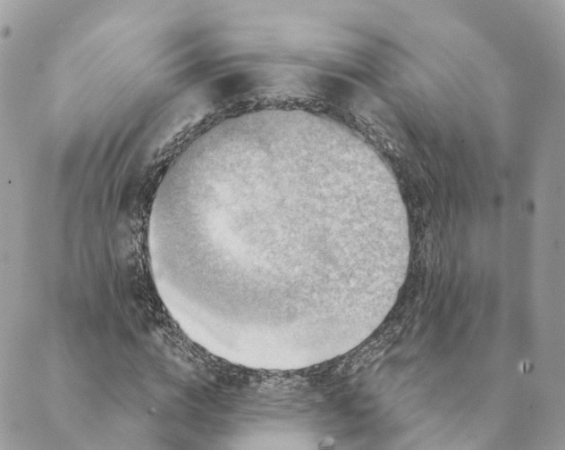 X0000088890824200706291437