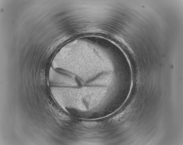 X0000088890825200706291437