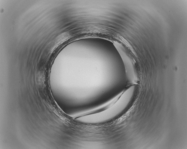 X0000088890826200706291437