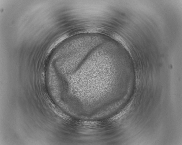 X0000088890827200706291437