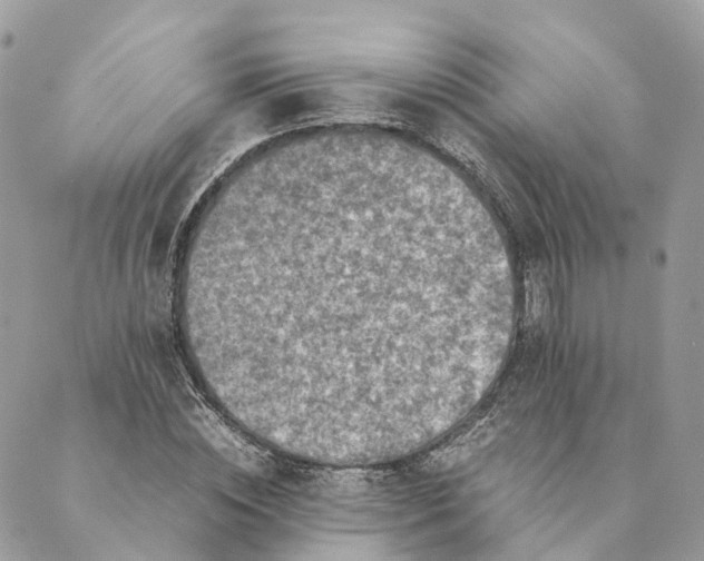 X0000088890828200706291437