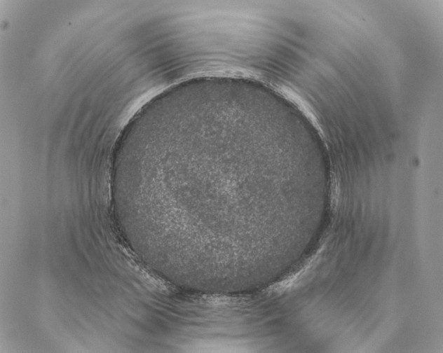 X0000088890829200706291437