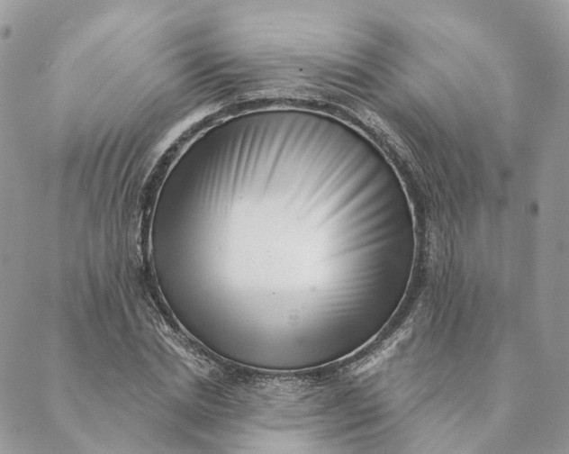 X0000088890830200706291437