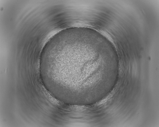 X0000088890831200706291437