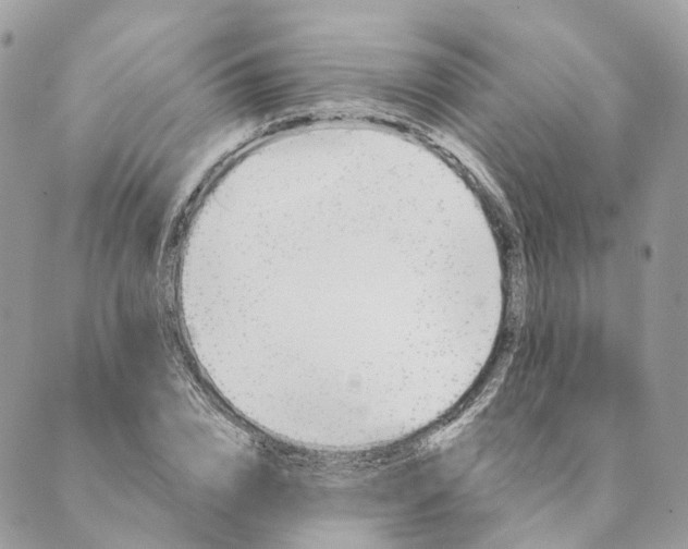 X0000088890832200706291437