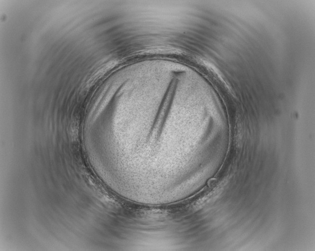 X0000088890833200706291438