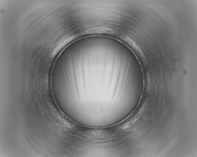 X0000088890834200706291438