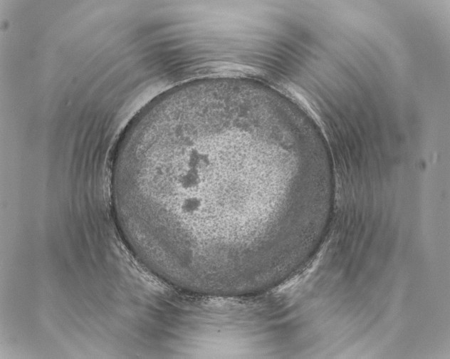 X0000088890835200706291438