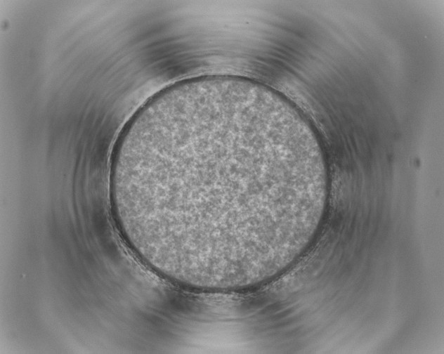 X0000088890836200706291438