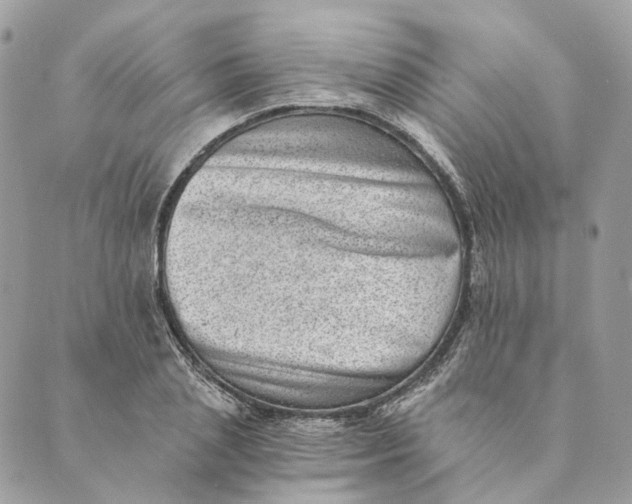 X0000088890837200706291438